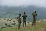 با کمبود شدید محیط‌بان در سازمان محیط زیست مواجه هستیم