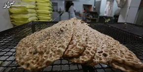 تصاویر / نان بلوط