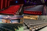 وحدت ملی صهیونیست‌ها را غافلگیر کرد