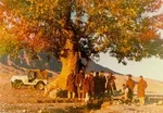 جسد صیاد بوشهری پس از حدود ۴ سال به زادگاهش بازگردانده شد
