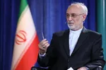 عضو جبهه اصلاحات: ظریف به‌جای «طرح مناره» از حق هسته‌ای دفاع کند