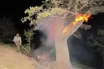 بازگشت آتش‌سوزی به هوالعظیم/ این‌بار عمدی است و عوامل بازداشت شدند
