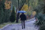 باران و وزش باد شدید در ۱۸ استان کشور