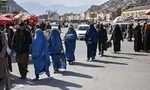 سازمان ملل اجازه حضور نماینده طالبان را نداد