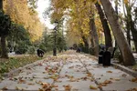 آخر هفته بارانی در ۱۹ استان کشور