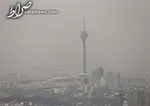 ۶ علت شایع ابتلا به آسم را بشناسید