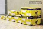 مدیرعامل شرکت پست: خدمات پست بدون هیچ وقفه‌ای ادامه دارد