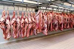 واریز مابه‌التفاوت قیمت کالاهای اساسی وارداتی به کارت خانوار