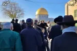کجاست غیرت ۱.۵ میلیارد مسلمان؟! +فیلم