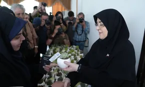 فاطمه مهاجرانی: رئیس و اعضای هیئت مدیره بورس وام میلیاردی را پس می‌دهند