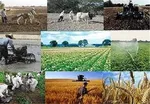 حق بیمه قرارداد؛ دستاویز برخورد سلیقه‌ای با صاحبان کسب و کار