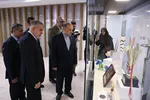 پاسخ تند علی کریمی به یک پیشنهاد دور از انتظار
