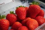 جوان‌سازی واقعی در سال ۱۴۰۵؛ چه کارهایی واقعاً شما را جوان‌تر می‌کند؟