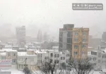 ورود سامانه بارشی جدید| تهران خنک می‌شود