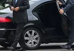 زندگی لاکچری ها/ هزینه نگهداری هر ببر در منزل ماهی ۲۰میلیون تومان