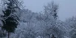 بارورسازی ابر‌ها در ۱۰ استان بزودی آغاز می‌شود