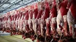 ایران خط ملوانی عمان را فعال می‌کند