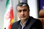اسلامی: دوربین‌های برجامی آژانس پلمب شده‌اند