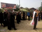 کُری‌خوانی جعلی همسر مرحوم نوروزی +عکس