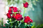 کاهش ۳ درصدی قیمت مسکن در تهران طی اسفند ۹۹