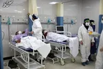 ۱۰ قلم داروی سنتی وارد چرخه درمان کمکی کرونا قرار گرفت