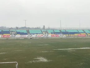 عکس/ تولد گوسفندی دو سر در کرمان