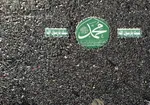 رونمایی از ۶۳ سکه تاریخی همزمان با هزار و پانصدمین سالروز میلاد پیامبر (ص)