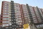 کمیته امداد: ۳ میلیون زن، سرپرست خانوار هستند