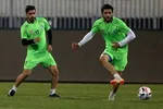 سلطانی فر: دیگر به مدال آوران المپیکی سکه نمی‌دهیم