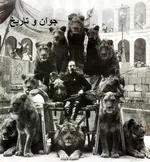 اعلان جنگ اخوان به روسیه در سوریه
