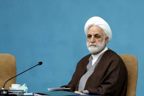 فیلم | اژه‌ای: نگذارید بازداشت کردن افراد برایمان عادی شود