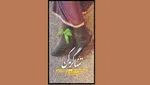 تقریظ رهبر معظم انقلاب بر کتاب «مربع‌های قرمز»+ عکس
