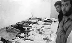 یاسمین پهلوی: همسرم به زودی کناره‌گیری می‌کند