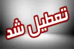 گرما بیش از ۱۰۰ نخل را سوزاند