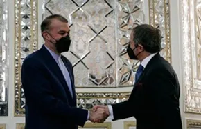 تصاویر / دیدار رافائل گروسی با امیرعبداللهیان