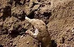 دستور وزیر کشور برای بررسی حادثه دلخراش چابهار/ واقعیت ماجرای فوت چهار کودک چه بود؟