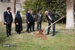 ابطحی: پزشکیان مظلوم ترین رئیس‌جمهور ایران است