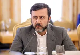 واکنش غریب‌آبادی در مقابل به ادعای جدید گروسی