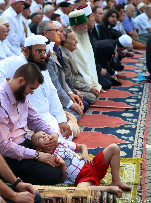  آلبانی