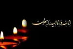 رضازاده: مردم بدانند قهرمان‌شان سالم است!