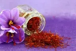 برداشت طلای سرخ تا ۱۰ روز آینده ادامه دارد / حداکثر نرخ هر کیلو زعفران ۱۶ میلیون تومان