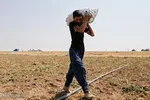 به سیف گفتم دو ماهه مسأله ارز را حل می‌کنم