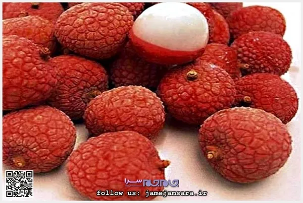 Lychee لیچی
زادگاه اصلی این میوه جنوب چین و جنوب هند و تایوان است. پوست این میوه مانند پسته سخت است و گفته می‌شود، قدمت آن به ۲۰۰۰ سال قبل از میلاد بازمی‌گردد. طعم این میوه شبیه انگور و از جمله میوه‌های سرشار از ویتامین سی است.