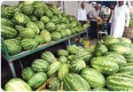 کشفیات عجیب مواد مخدر طی روز‌های گذشته