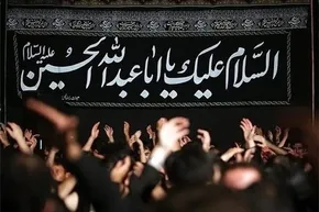 تصاویر/ یک بیمارستان مختص اسب‌ها