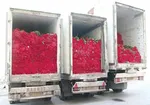 چند زندانی مهریه در زندان به‌سر می‌برند؟