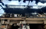 سخنگوی سازمان آتش‌نشانی تهران؛ آتش‌سوزی در بازار گل