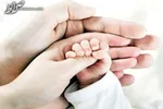 ۲۰ درصد زوجین ناباروند/ ابتلای مردان به ناباروری از زنان بیشتر است