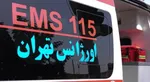 کشتی‌گیر البرزی در حملات رژیم صهیونیستی و آمریکا به شهادت رسید