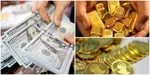 قیمت دلار بالا رفت؟